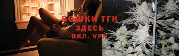 шишки Арсеньев