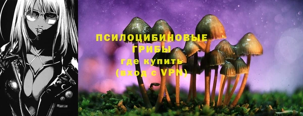 а пвп мука Алексеевка